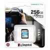 KINGSTON CANVAS GO PLUS SDXC 256GB CLASS 10 UHS-I U3 A2 V30 170/90 MB/S Vsrls  olcs KINGSTON CANVAS GO PLUS SDXC 256GB CLASS 10 UHS-I U3 A2 V30 170/90 MB/S